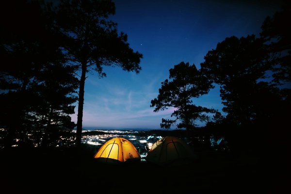 Embark on the Ultimate UK Cruise: Discover Legendary British Libraries on Your Journey